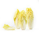 【嫩芽尖尖】娃娃菜苗（長(zhǎng)度≤12cm）250g