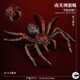 仿真昆蟲(chóng)玩具多足蜘蛛模型魔幻世界神話(huà)動(dòng)物怪獸飛龍兒童認知擺件 南美洲狼蛛