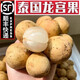 溢鮮居【現(xiàn)貨】泰國(guó)龍宮果新鮮進(jìn)口水果當(dāng)季龍貢果孕婦水果 1斤