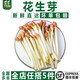 千牛優(yōu)福新鮮花生芽500g食用花生苗生鮮蔬菜芽苗長壽芽燙火鍋