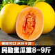 饞半仙甘肅民勤蜜瓜新鮮香瓜甜瓜水果黃河蜜瓜沙漠黃金蜜脆甜金紅寶頭茬 2-4顆裝 帶箱8-9斤