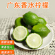 風(fēng)車(chē)車(chē)農場(chǎng)廣東香水檸檬 一級果 無(wú)籽香水檸檬 青檸檬 冷飲專(zhuān)用 1斤（一級果）