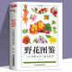 【包郵】含章·圖鑒系列（植物圖鑒） 野花圖鑒 179種野花的了解與鑒賞