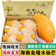 譯優(yōu)農(nóng)海南金煌芒 新鮮現(xiàn)摘特大芒果甜心芒水仙薄皮芒果應(yīng)季孕婦水果 9斤特大果精選裝
