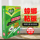 綠葉（Green Leaf）蟑螂粘板滅蟑螂藥殺蟑粘板除蟑螂粘板物理捕捉蟑螂器家用滅蟑螂 20片裝(1盒)
