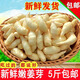 嫩姜芽仔姜新鮮子姜鮮姜5斤裝山東腌制糖醋嫩生姜泡菜姜芽 2500g