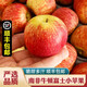 舅甜果蔬南非牛頓小蘋(píng)果【順豐-送到家】 進(jìn)口富士蘋(píng)果寶寶果小蘋(píng)果 12個(gè)（單果100-130g）