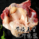 牛窩骨新鮮帶肉牛窩骨 帶筋牛膝蓋骨本地放養(yǎng)黃牛窩骨 3斤