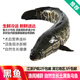 品鮮肴淡水魚生態(tài)黑魚烏魚財(cái)魚漁民野外捕獲鮮活魚現(xiàn)殺 煲湯補(bǔ)生鮮水產(chǎn) 凈膛后1.2kg/條【3斤稱重現(xiàn)殺】