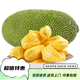 瀚部海南菠蘿蜜新鮮水果一整個(gè)10斤起 木菠蘿黃肉干苞 當(dāng)應(yīng)季佳節(jié)送禮 整個(gè)菠蘿蜜8-10斤(精挑細(xì)選)
