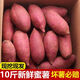 枝遙（ZHIYAO）正宗 板栗蜜薯10斤西瓜紅紅薯 黃心紅薯現(xiàn)挖現(xiàn)發(fā)現(xiàn)挖新鮮蜜薯地瓜 紅薯 帶箱9-10斤大果