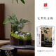 八芽趣味鮮活苔蘚微型景觀創(chuàng)意室內(nèi)桌面生態(tài)綠植盆栽盆景懶人好養(yǎng)植物 山野人家B款-禮盒定制款 帶玻璃杯