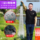 隨燦漁網(wǎng)沾魚網(wǎng)掛網(wǎng)鯽魚網(wǎng)白條網(wǎng)絲網(wǎng)白條網(wǎng)漁網(wǎng)海網(wǎng)三層漁網(wǎng)沉網(wǎng) 三層沉網(wǎng)2指27米長1.2米高圓鉛墜