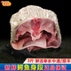 桃李旺（taoliwang）鱷魚生鮮肉 新鮮現(xiàn)殺整條鱷魚 鱷魚尾 鱷魚掌 鱷魚身段年貨送禮盒 【1.5kg】鱷魚身段