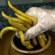 味了誰湖南農(nóng)家土特產(chǎn)老壇子泡椒泡菜下飯咸菜酸辣椒自制腌制腌辣椒脆辣 酸辣椒500g*2包