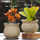 OEMG多肉花盆粗陶原土燒制無(wú)釉多肉植物陶瓷花盆簡(jiǎn)約創(chuàng  )意盆栽綠植拇指 03號01號粗陶2個(gè)