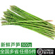 綠食者 新鮮蘆筍500g 龍須菜 嫩綠蘆筍農(nóng)家自產(chǎn)去白根新鮮蔬菜