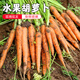 密水農(nóng)家新鮮水果胡蘿卜鮮摘手指胡蘿卜 生吃小胡蘿卜 寶寶食材蔬菜 水果胡蘿卜 400g