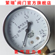 繁瑞氧氣壓力表頭Y-60黃銅氫氣氮氣氬氣CO2表0-1.6/25mpa螺紋M14X1.5 氫氣壓力表 Y-60 0-0.4mpa
