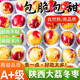 譯優(yōu)農(nóng)正宗陜西大荔冬棗新鮮甜脆鮮棗大棗紅黃脆棗孕婦應當季水果 果王5斤【五星爆甜，土豪專享】
