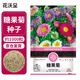 花沃里糖果菊花種子約1000粒 花卉種子陽(yáng)臺種菜土盆栽蔬菜種子庭院草籽