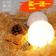 燈璨led龍珠燈泡G45G80暖白中性三色變光節(jié)能無頻閃E27大螺口奶白吊燈分子燈圓泡 玻璃［G45］9瓦 白光