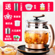 蘇泊SUlPOR爾同款養(yǎng)生壺全自動(dòng)加厚玻璃多功能電煮茶壺中藥壺煎藥大容量2.5L 豪華頂配版含所有配件 2.5L