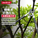 得力（deli）省力園藝剪刀修枝剪籬笆剪整籬剪 果樹(shù)剪粗枝花草30寸特氟龍刀頭