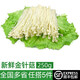 綠食者 金針菇250g 新鮮食用菌 涼拌燒烤蔬菜火鍋素菜配菜麻辣燙食材