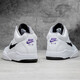 耐克（NIKE）休閑鞋男鞋2025新款夏季運動鞋AIR FLIGHT實戰(zhàn)訓(xùn)練籃球鞋DJ2518 DJ2518-100白色 42
