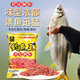 釣魚(yú)王 釣紅黃尾顆粒底窩料專(zhuān)用餌料鯪魚(yú)白條翹嘴野釣魚(yú)餌打窩顆粒 黃尾顆粒800g【1包】