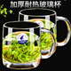 樂美雅玻璃杯家用茶杯帶把水杯帶蓋耐熱泡茶杯鋼化加厚杯喝水杯子 【兩支】諾卡380ml(加杯刷*2)