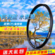 卓美（ZoMei） 卓美（ZOMEI）高清偏振鏡cpl濾光鏡單反相機濾鏡多層鍍膜通用 超高清超薄CPL（送濾鏡包+攝影教材） 77mm