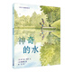 凱迪克金獎大師陳振盼繪本系列：神奇的水（麥克米倫世紀(jì)童書館）一本充滿詩情畫意的科普繪本 詩意的語言搭配春夏秋冬四季的美景，生動形象地講解關(guān)于水循環(huán)的科普知識