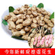 辰實(shí)【現(xiàn)挖】新鮮花生 現(xiàn)挖生花生 濕花生農(nóng)家?guī)し奂t皮花生米 5斤新鮮濕花生【紅皮】