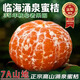 正宗臨海涌泉蜜桔浙江臺州黃巖早熟無核柑橘子當季新鮮水果10斤 【高山7A】十斤裝（帶箱）