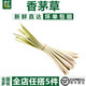 千牛優(yōu)福新鮮香茅草500g 檸檬草西餐香料冬陰功湯食材料