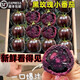 【順豐到家】山東壽光黑玫瑰小番茄黑紫色圣女果即食水果 1斤