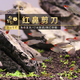 魚官兒 魚官兒紅鼻剪刀白金紅鼻群游魚適合新手好養(yǎng)小型淡水草缸燈魚 2-2.5cm紅鼻剪刀18條+2抵損
