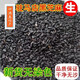 小濤莊園精選生黑芝麻油麻25年新貨新鮮河南駐馬店特產(chǎn)干凈顆粒飽滿(mǎn)無(wú)染色 精選生黑芝麻2500克1件