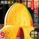 粵迎攀枝花凱特芒果芒果新鮮四川水果需催熟再食用應季現(xiàn)摘時令生鮮 5斤精選裝【爆甜多汁】凈4.5斤 普箱裝【自吃推薦】