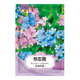 綠林花語(yǔ)切花勿忘我種子星辰花耐旱多年生宿根花種籽盆栽庭院花壇春秋播