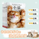 治愈系科普圖鑒：小貓，小狗，企鵝，鳥（套裝全4冊） 高清鑒賞圖片養(yǎng)貓指南寵物書籍 狗狗訓練教程關(guān)于狗狗的書