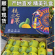 寶小滿廣西百色 桂七芒果【順豐/韻達(dá)】 產(chǎn)地直發(fā) 【禮盒裝順豐】8.3斤特大(250g+)