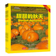 美國國家地理 探索四季系列 雙語(yǔ)版（套裝共4冊）