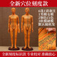 高博士人體針灸模型經(jīng)絡(luò)穴位中醫(yī)全身十二銅人模特圖小人扎針練習(xí)小皮人 銅色軟模(數(shù)字定位)62CM 男款