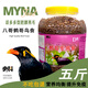央科鷯哥鳥食飼料不拉稀桶裝鳥糧八哥鳥食5斤鷯哥鳥食八哥飼料 D型鷯哥食