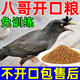 開元八哥鳥飼料幼崽飼料訓(xùn)鳥學(xué)說話助開口鴉類鳥糧提性壯膘營養(yǎng)易消化 3袋裝【營養(yǎng)全面】