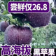 甘肅黑卡蘋果9斤正宗黑鉆蘋果當(dāng)季新鮮水果整箱包郵冰糖心脆粉W 3斤