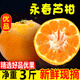 贛馨園蘆柑 福建蘆柑3斤新鮮當季水果桔子柑橘應(yīng)整箱 5斤實惠裝 精裝好果
